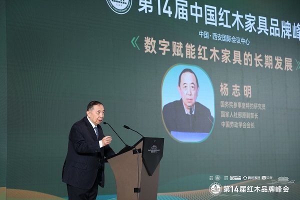 國務(wù)院參事室特邀研究員、國家人社部原副部長、中國勞動(dòng)學(xué)會(huì)會(huì)長楊志明發(fā)表演講